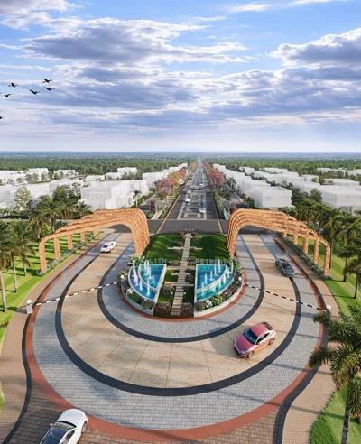 Low Density Project