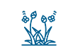 FLOWER GARDEN
